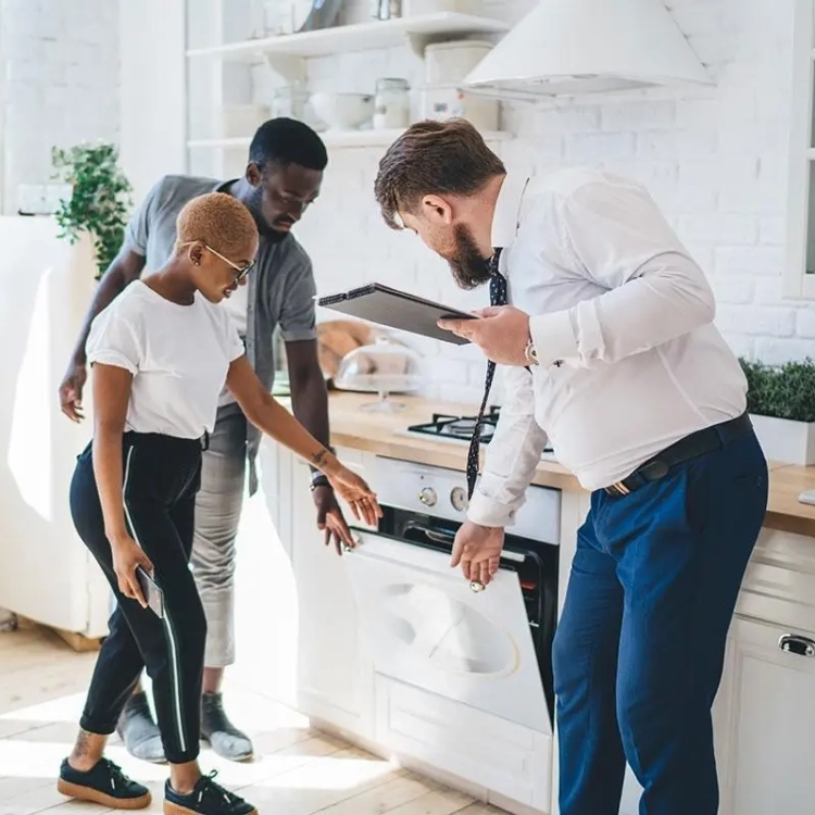property management hamilton nz